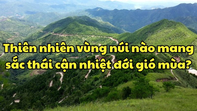 Thiên nhiên vùng núi nào mang sắc thái cận nhiệt đới gió mùa?