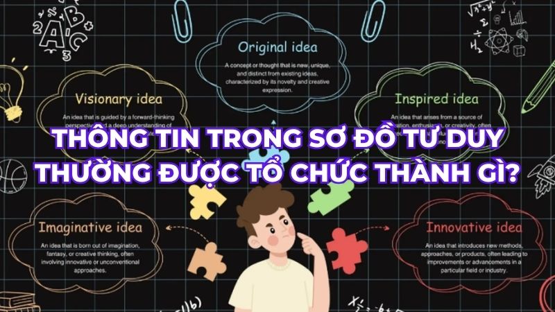 Thông tin trong sơ đồ tư duy thường được tổ chức thành
