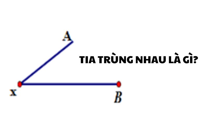 Tia trùng nhau là gì?