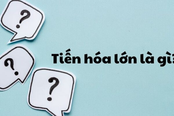 Tiến hóa lớn là gì?
