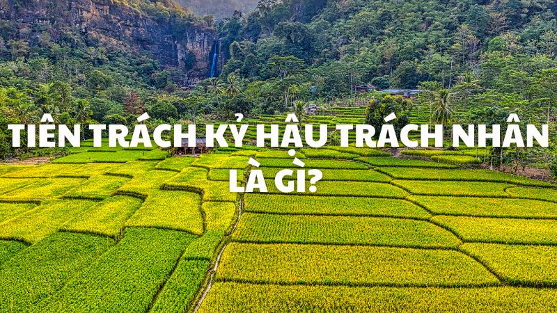 Tiên trách kỷ hậu trách nhân là gì?