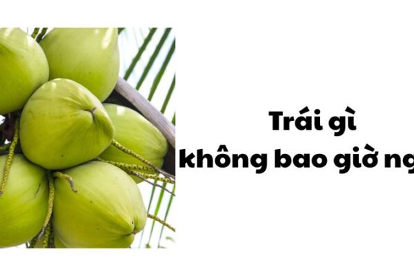 Trái gì không bao giờ ngủ