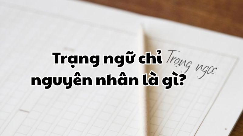 Trạng ngữ chỉ nguyên nhân là gì?