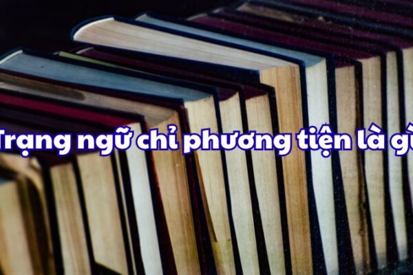 Trạng ngữ chỉ phương tiện