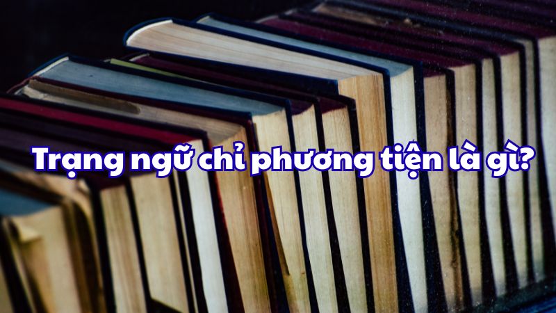 Trạng ngữ chỉ phương tiện