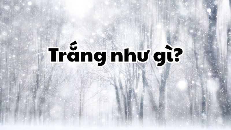 Trắng như gì?