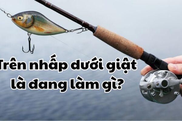 Trên nhấp dưới giật là đang làm gì?