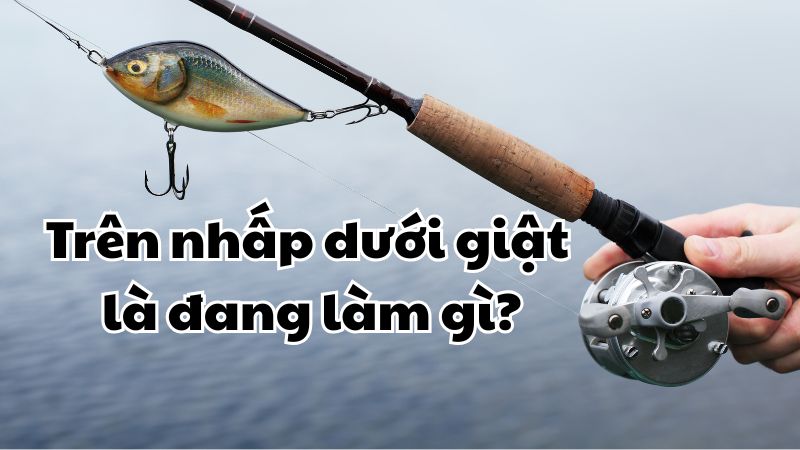 Trên nhấp dưới giật là đang làm gì?