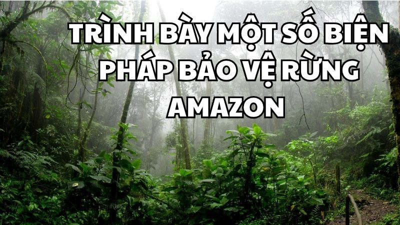 Trình bày một số biện pháp bảo vệ rừng Amazon