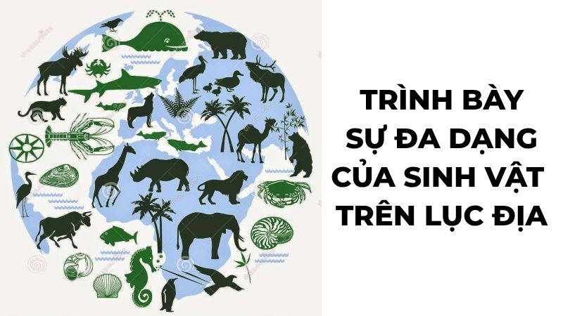 Trình bày sự đa dạng của sinh vật trên lục địa