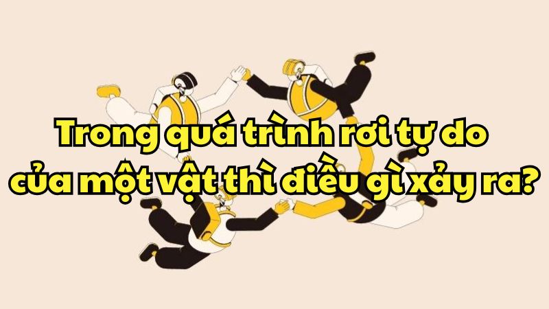 Trong quá trình rơi tự do của một vật thì điều gì xảy ra?