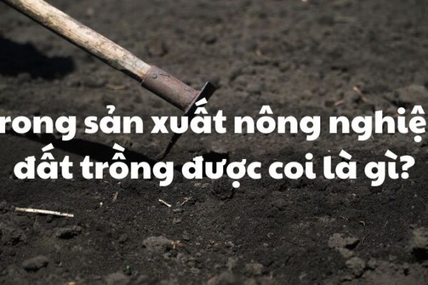 Trong sản xuất nông nghiệp đất trồng được coi là gì?