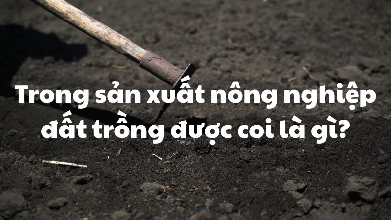 Trong sản xuất nông nghiệp đất trồng được coi là gì?