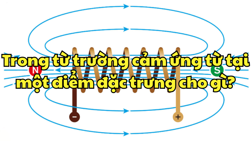 Trong từ trường cảm ứng từ tại một điểm đặc trưng cho gì?