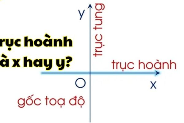 Trục hoành là x hay y?