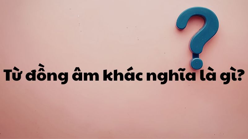 Từ đồng âm khác nghĩa là gì?