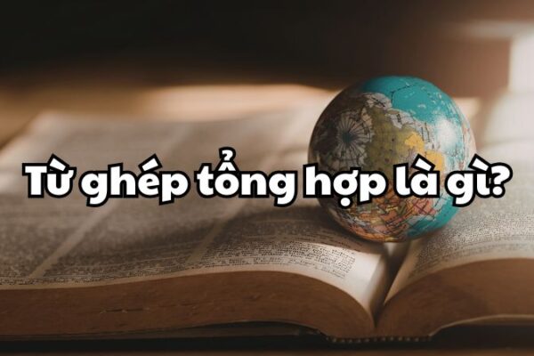 Từ ghép tổng hợp là gì?