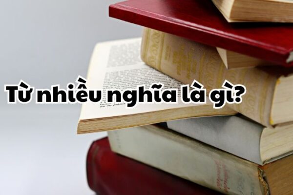 Từ nhiều nghĩa là gì?