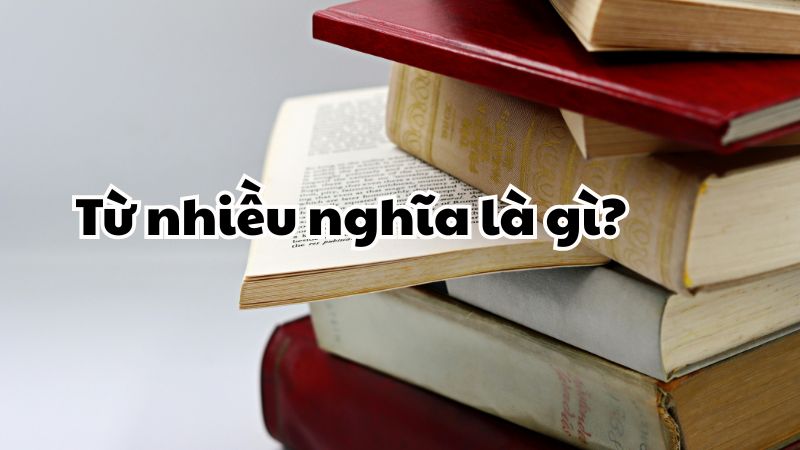 Từ nhiều nghĩa là gì?