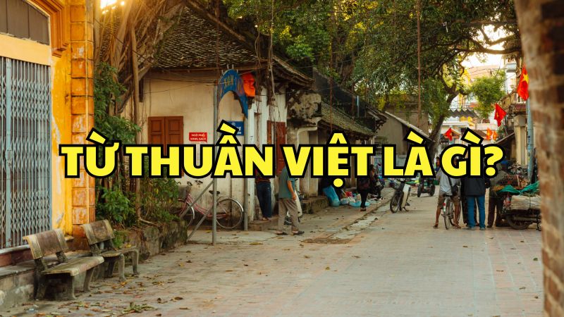 Từ thuần Việt là gì?