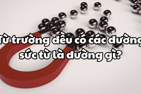 Từ trường đều có các đường sức từ là đường