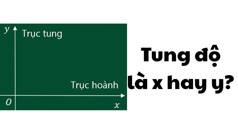 Tung độ là x hay y?