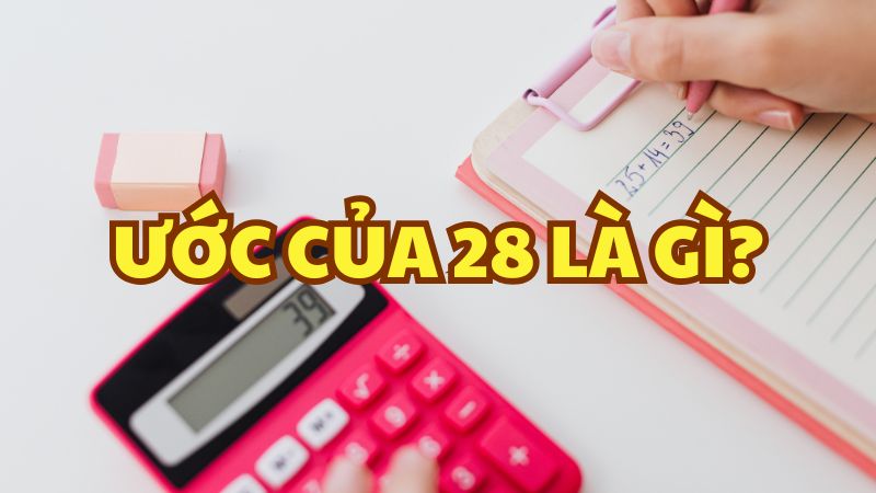 Ước của 28 là gì?