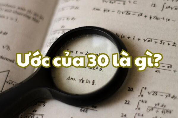 Ước của 30 là gì?