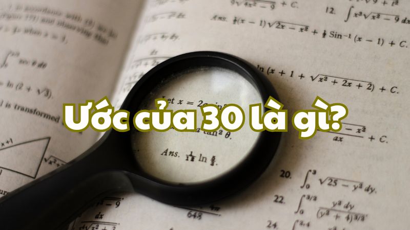 Ước của 30 là gì?