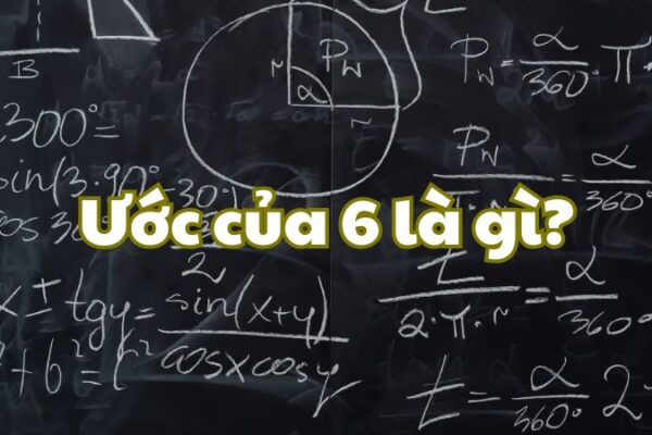 Ước của 6 là gì?