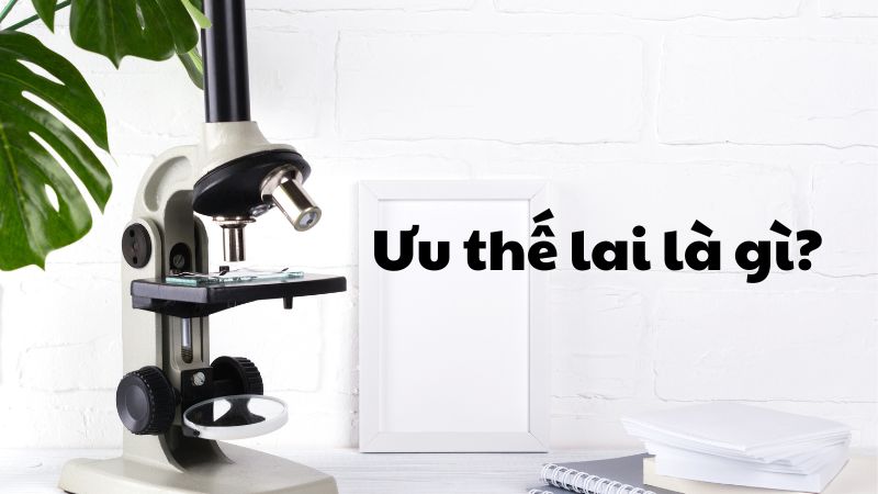 Ưu thế lai là gì?