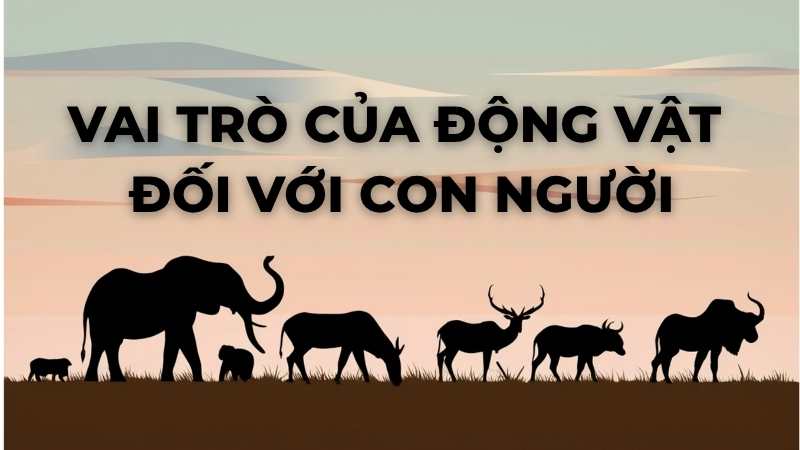 Vai trò của động vật đối với con người