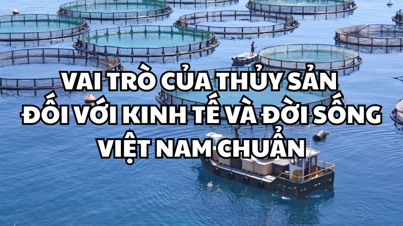 Vai trò của thủy sản đối với kinh tế và đời sống Việt Nam chuẩn