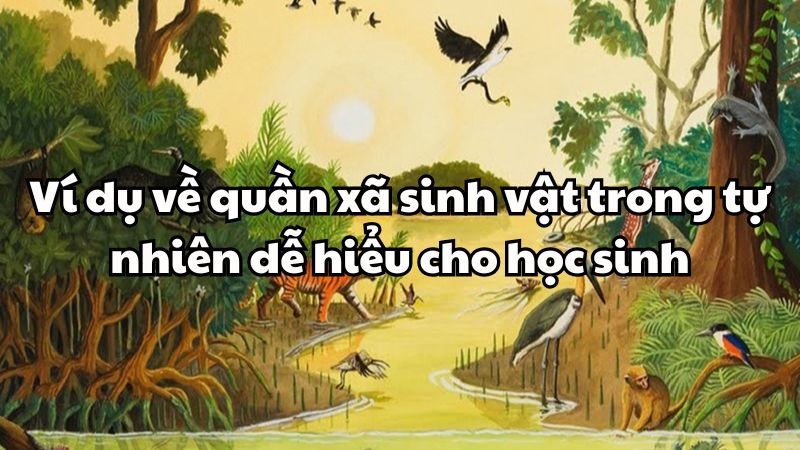 Ví dụ về quần xã sinh vật