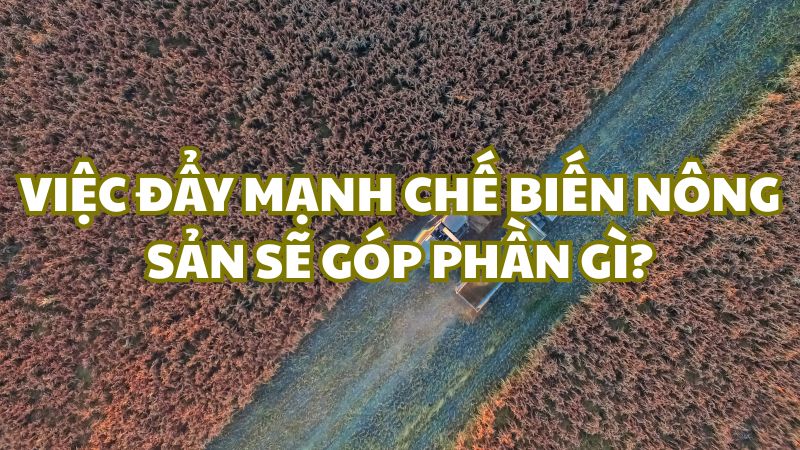 Việc đẩy mạnh chế biến nông sản sẽ góp phần gì?