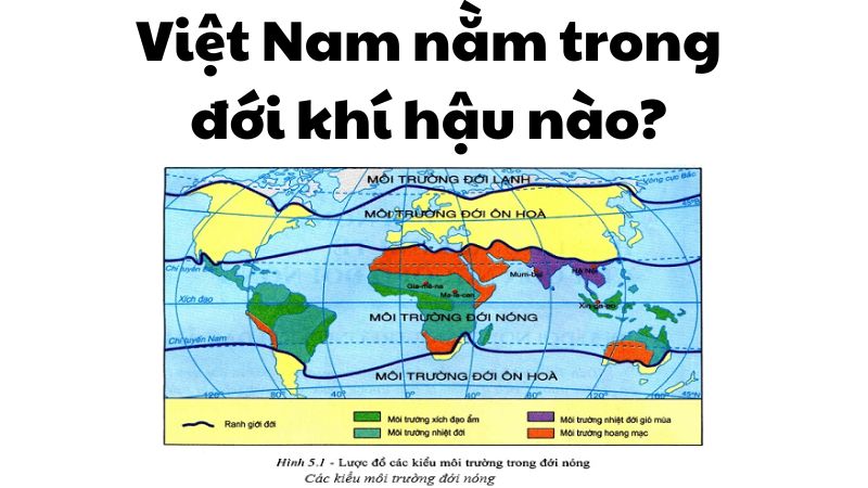 Việt Nam nằm trong đới khí hậu nào?