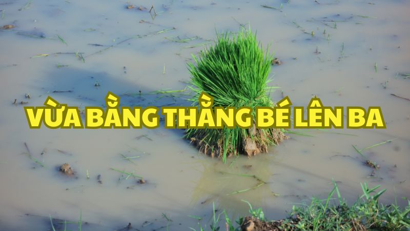 Vừa bằng thằng bé lên ba