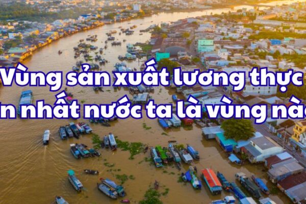 Vùng sản xuất lương thực lớn nhất nước ta là
