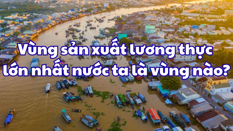 Vùng sản xuất lương thực lớn nhất nước ta là