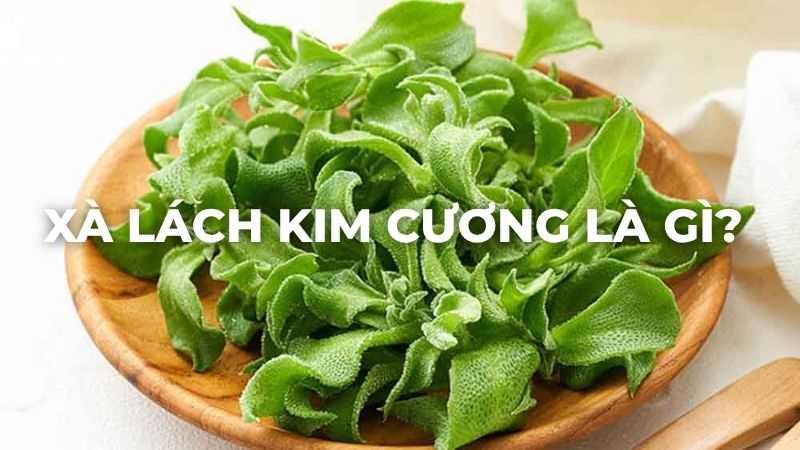 Xà lách kim cương là gì?