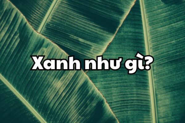 Xanh như gì?