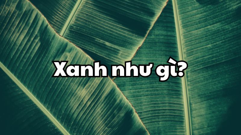 Xanh như gì?