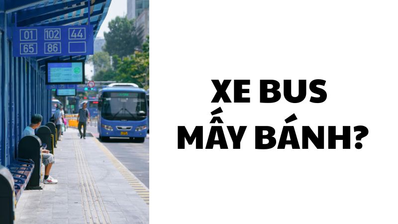 Xe bus mấy bánh?