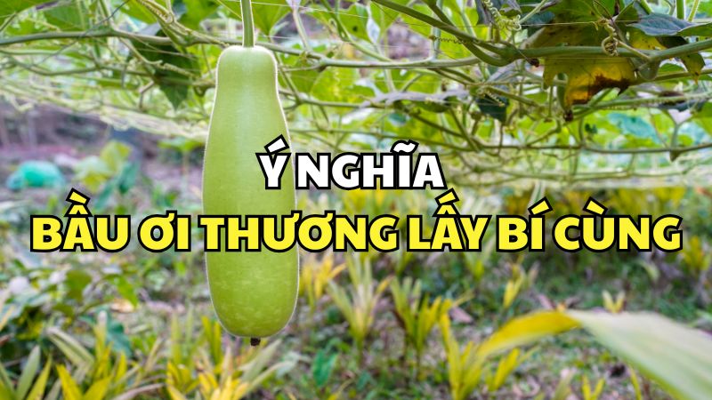 Ý nghĩa Bầu ơi thương lấy bí cùng