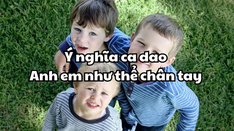 Ý nghĩa ca dao Anh em như thể chân tay