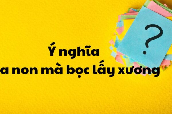 Ý nghĩa Da non mà bọc lấy xương