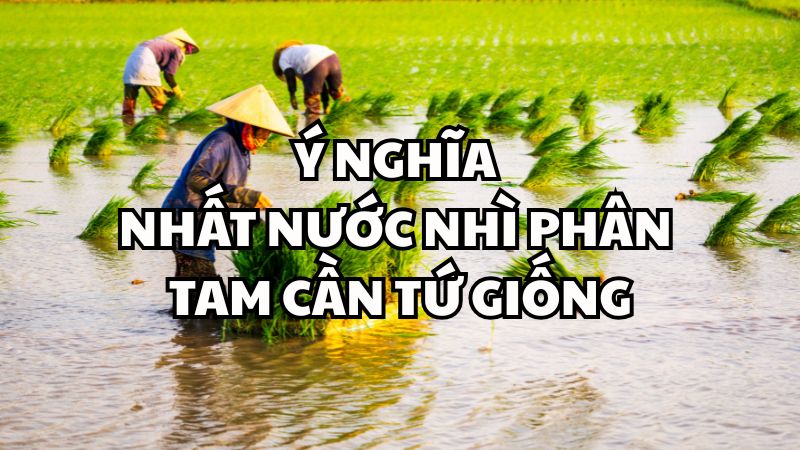 Ý nghĩa Nhất nước nhì phân tam cần tứ giống
