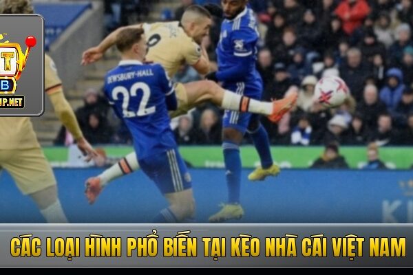 Các loại hình phổ biến tại kèo nhà cái Việt Nam