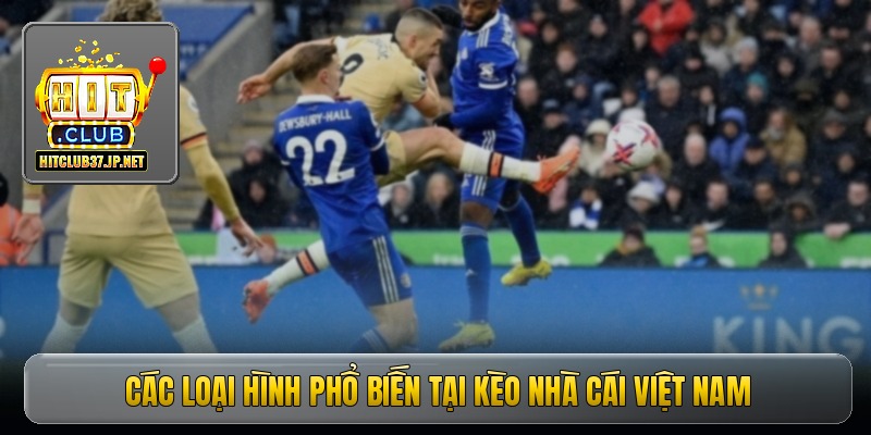 Các loại hình phổ biến tại kèo nhà cái Việt Nam