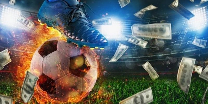 Hệ thống giải đấu đa dạng từ cấp câu lạc bộ đến đội tuyển quốc gia